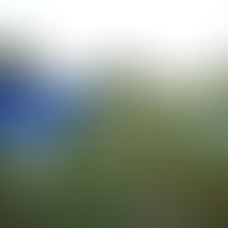 Parque Ecológico Ezechias Heringer, no Guará, ganha melhorias