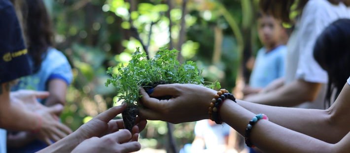 Projeto “Escolas de Arte do Cerrado – Exposição Bélgica” promove educação ambiental com arte
