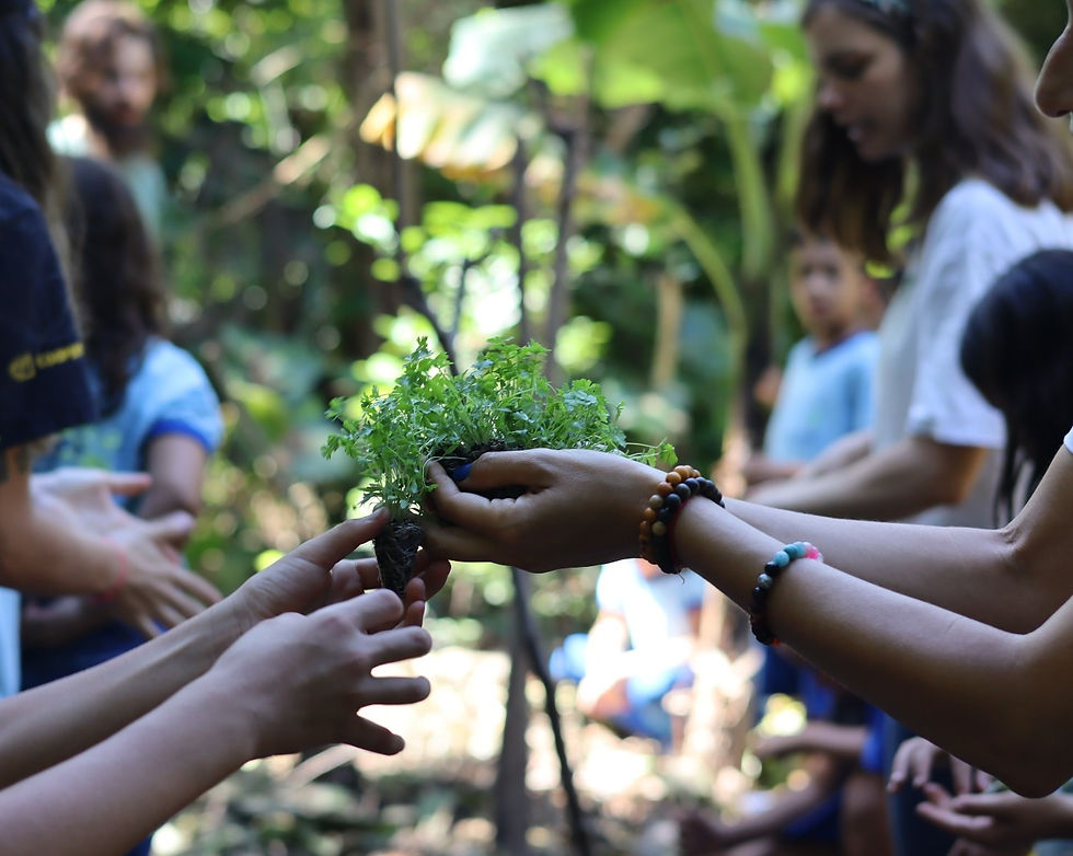 Estudantes da rede pública participam de atividade que une sustentabilidade, cultura e cooperação institucional / Edição: Mariana Parreira