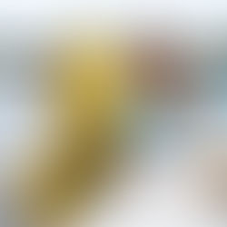 Ação pelo Dia Mundial da Água retira 0,5 tonelada de lixo do Lago Paranoá