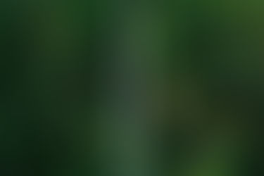 What Have We Learned About Orthodontists Adopting New Technologies Over the Years?