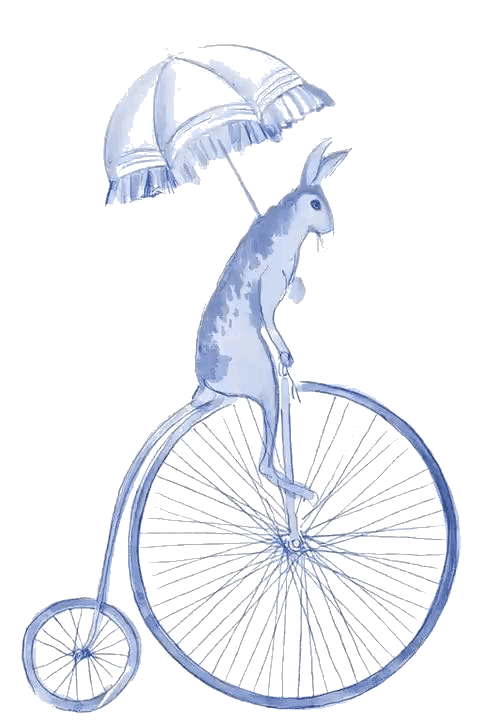 coelho na bicicleta tratado.gif