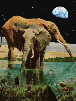 Elephant's park