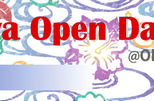 Okinawa Open Days 2014