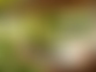 Outdoor Furniture to Transform Your Patio or Garden