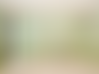 Home Bedroom Refresh: Simple Steps to Transform Your Space