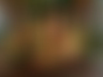 Festive Coffee Table Christmas Decor Ideas for 2024