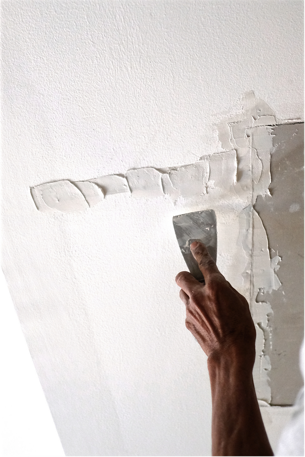 Copy of Pest Control Instagram Templates (Facebook Post)-4.png