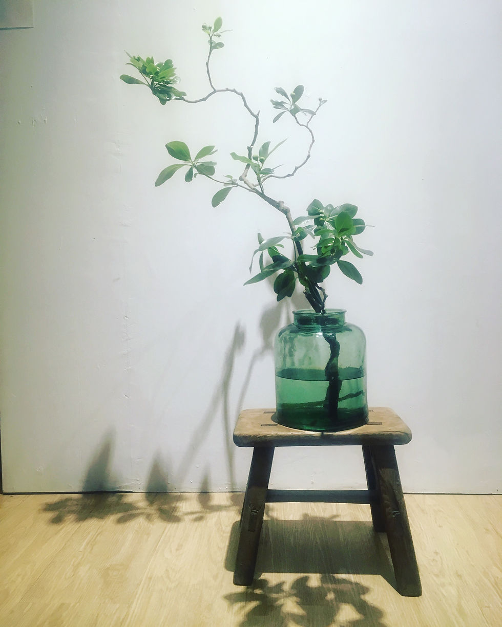 大型挵花  Large flower arrangement