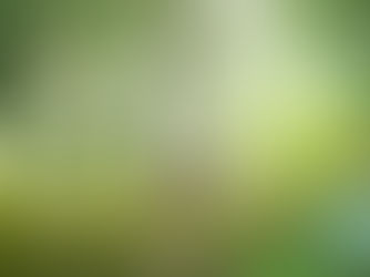 PLENTY OF GREEN TO BREATH