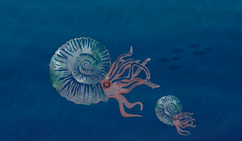 Dynamic motion graphics that captivate, educate, and entertain.