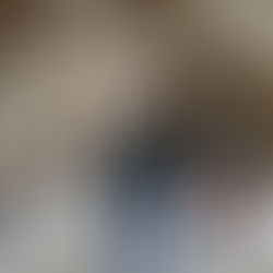 En images : le chantier de la Cuivrerie de Cerdon !