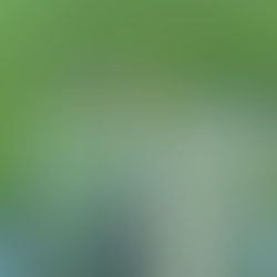 Avec son expo "Futur Végétal", l'Abbaye d'Ambronay propose un parcours initiatique à l'écologie !