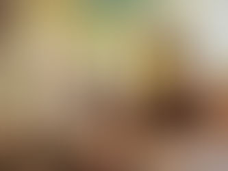 Isarnodurum, LE musée archéologique d’Izernore