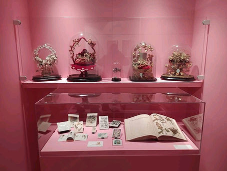 [MUSÉE DU REVERMONT] Herbiers. Mémoire végétale : une expo nature incontournable. 