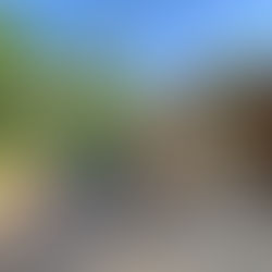 L'Ain'stant Yourte : une nuit insolite dans un cadre idyllique