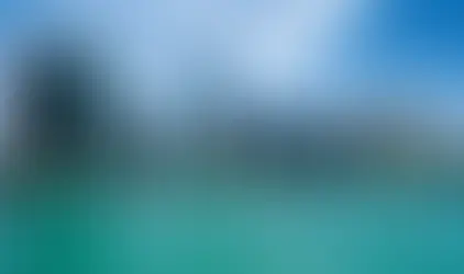 Illinois-skyline-surrogacy