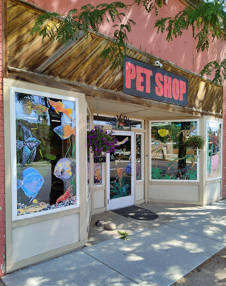 The Jungle Pet Shop