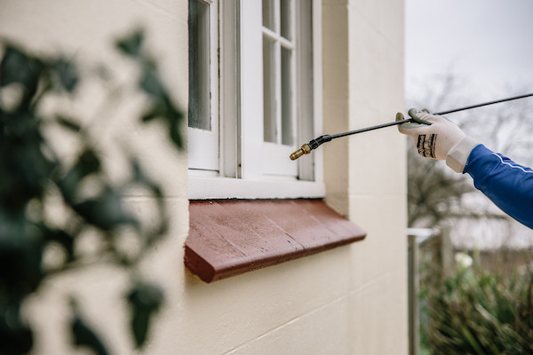 Pest treatment to window frame