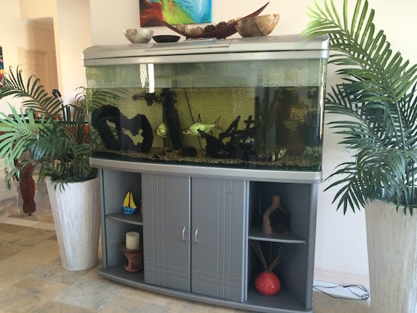 Fish tank