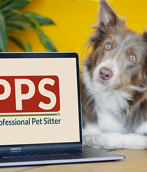 certification-for-professional-pet-sitters.jpg
