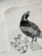 Thumbnail: Quail print 