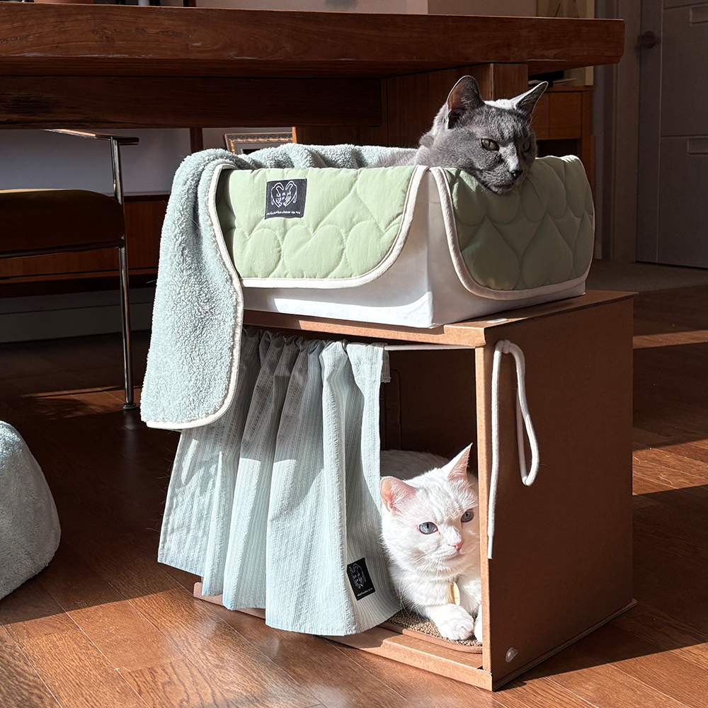 Peek & Hide Curtain Box