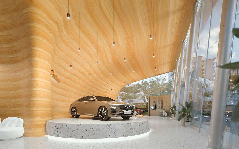 VINFAST showroom