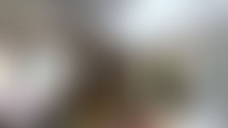 Ecole du Manival - St Nazaire Les Eymes - 2025