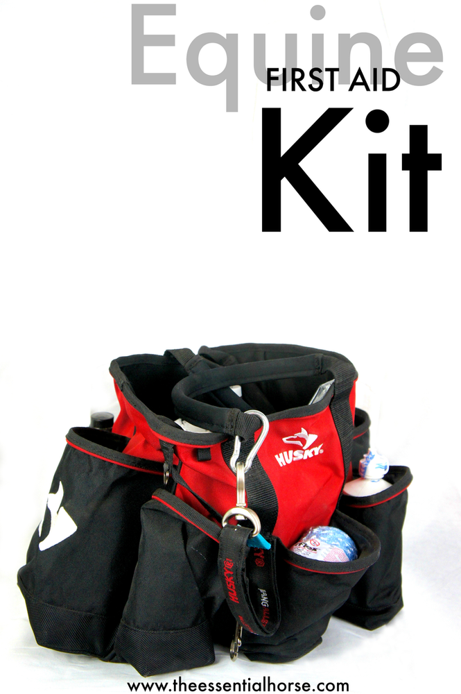Equine First Aid Kit