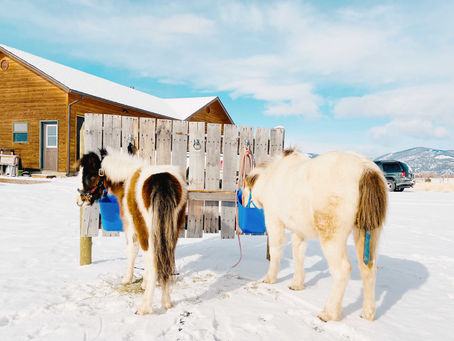 Follow Up on the Opposition Reflex Blog