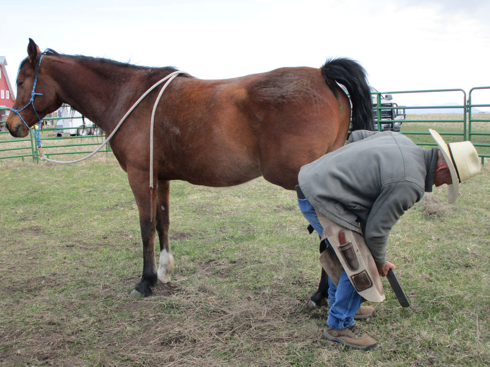 Barefoot Hoof Trimming Clinic with David Landreville