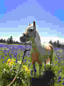 fullsizeoutput_cd