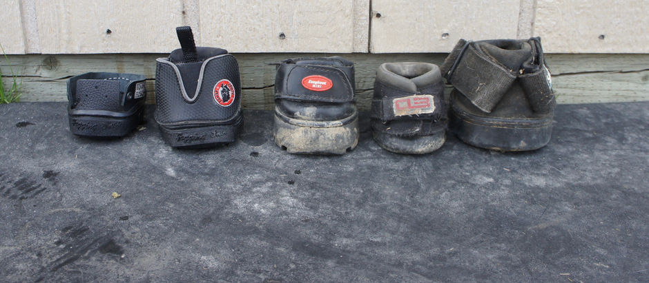 Boot Comparison!