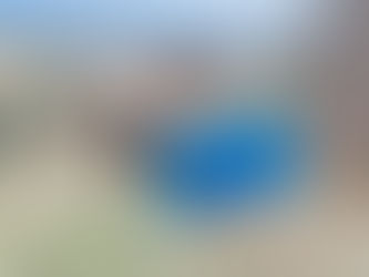 How I Prepare a Weanling for Winter