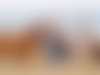 Taking things personally.