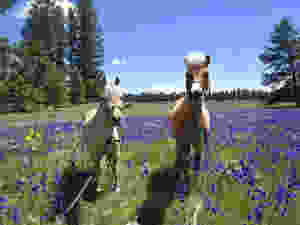 fullsizeoutput_c7