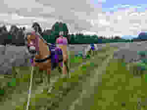 fullsizeoutput_138