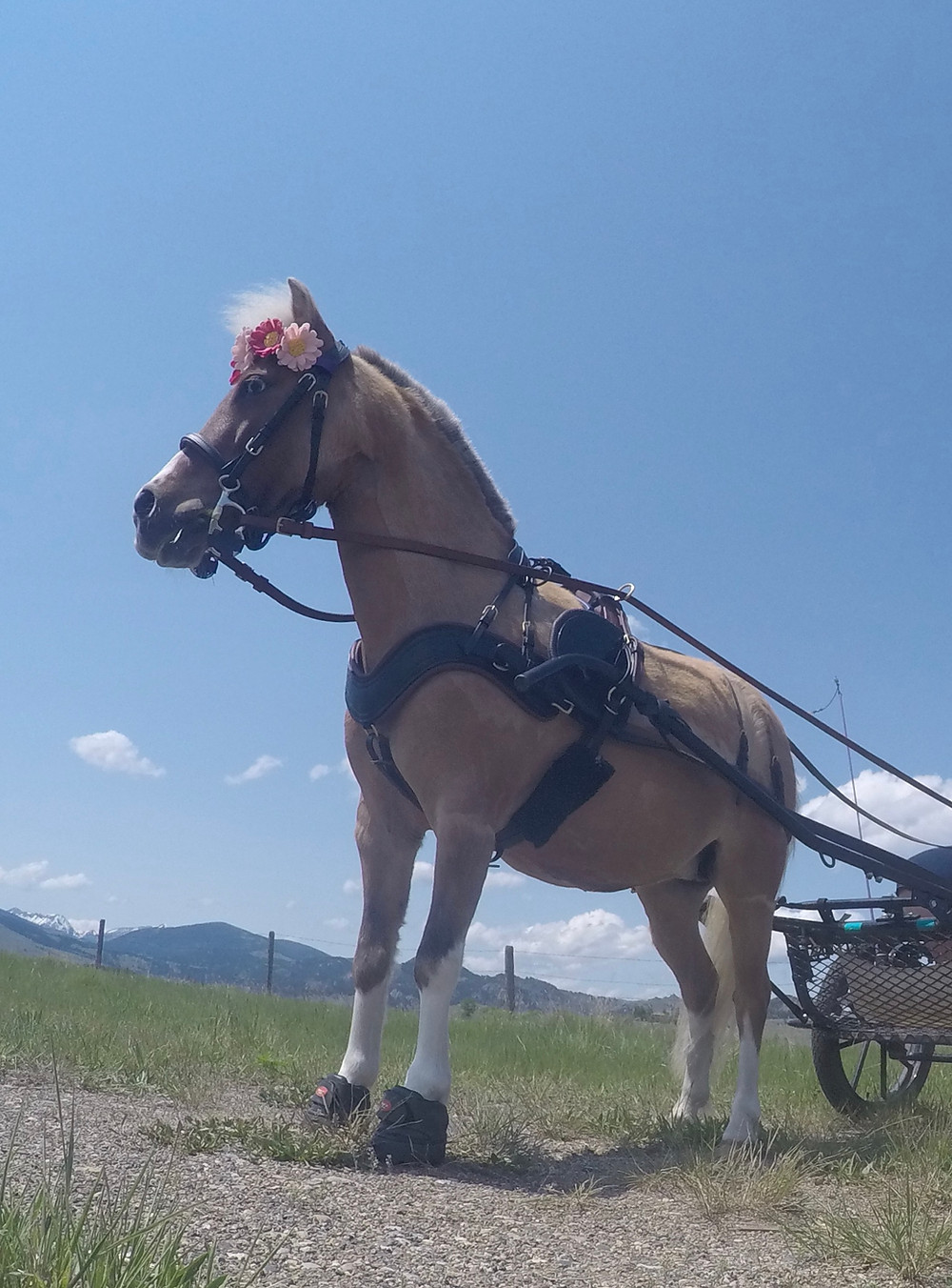 DCIM100GOPROGOPR1849.