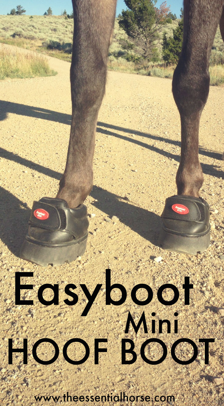 Miniature Horse Boots