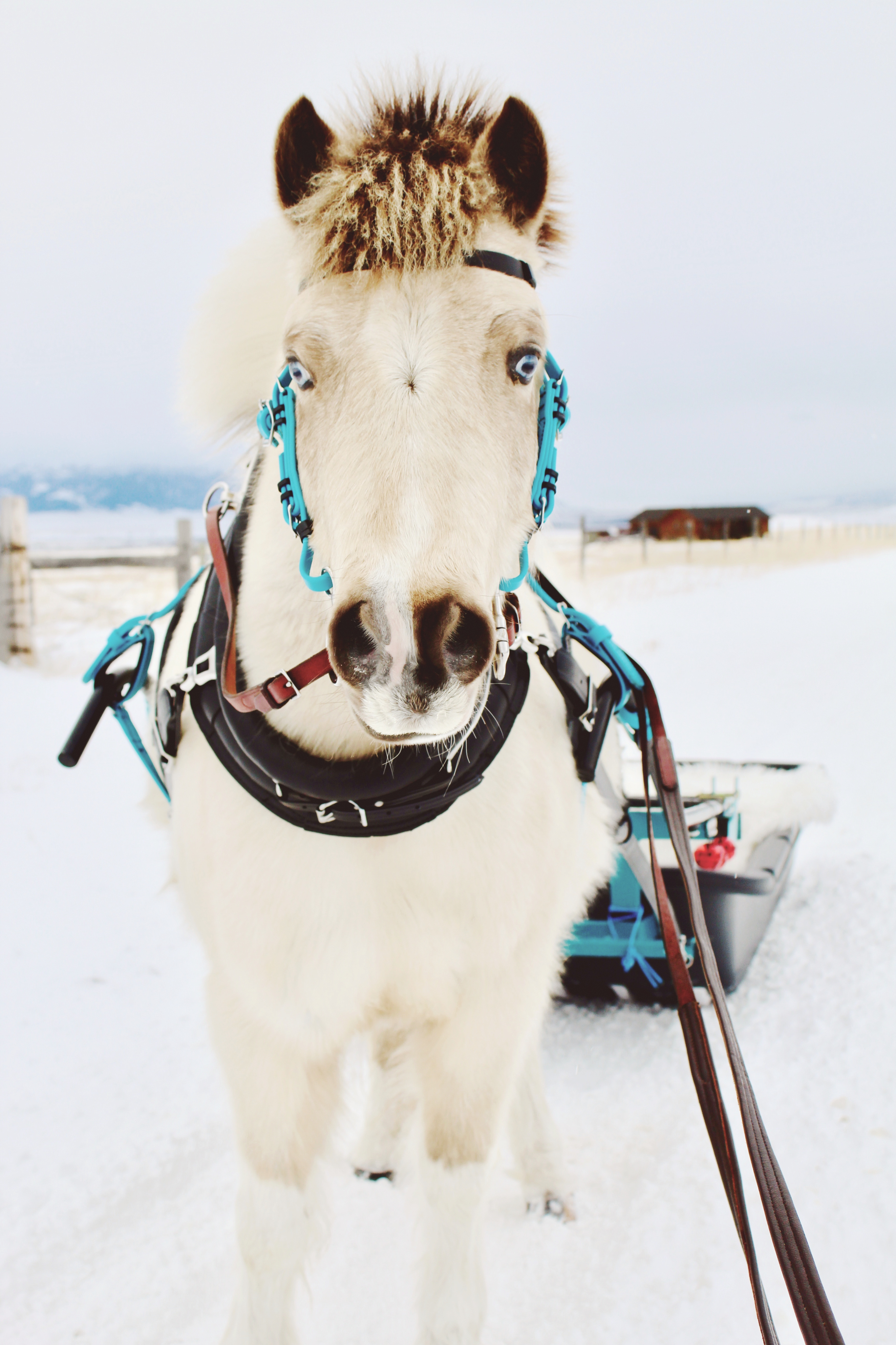 Winter Driving