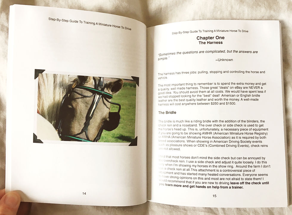 Thumbnail: Step-By-Step Guide To Training A Miniature Horse To Drive