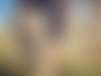 The Next Stage of Weaning