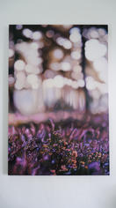 image00021.jpeg