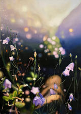 Oil on Canvas
SOLD