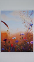 image00013.jpeg