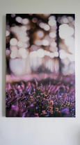 image00020.jpeg