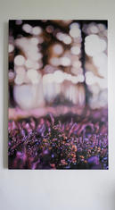 image00020.jpeg