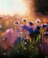 image00043.jpeg