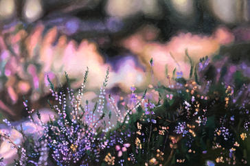 image00035.jpeg